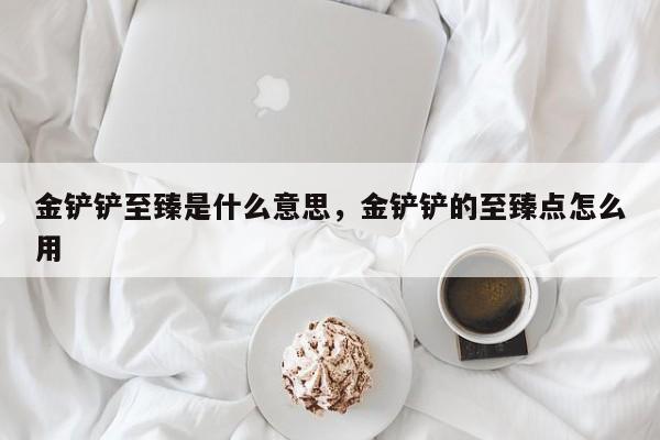 金铲铲至臻是什么意思,金铲铲的至臻点怎么用