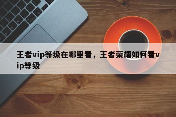 王者vip等级在哪里看,王者荣耀如何看vip等级
