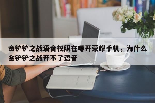 金铲铲之战语音权限在哪开荣耀手机,为什么金铲铲之战开不了语音